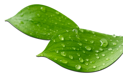 SEWAGE & EFFLUENT TREATMENT SOLUTIONS Vision and Mission of Sewage Treatment Plant Manufacturers in Dubai